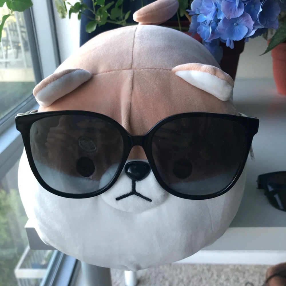 NWT Fendi 0374/S sunglasses
